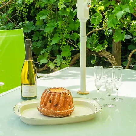 度假居 L Oriel Du Rempart Nord 埃圭斯海姆